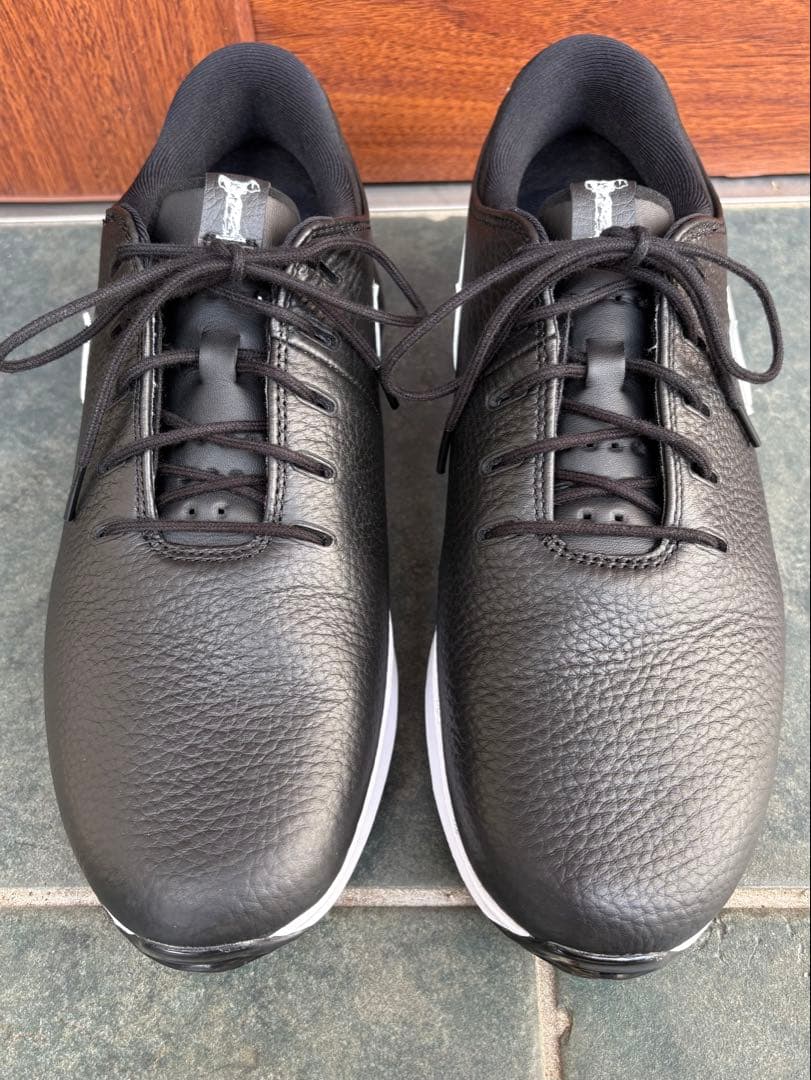 ゴルフシューズ ナイキ NIKE エアズーム ゴルフ メンズ シューズ