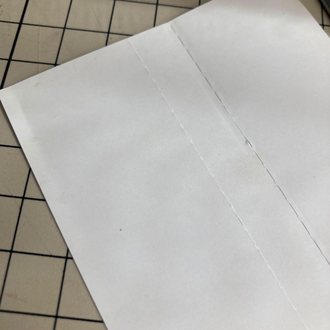 角谷美知夫 腐っていくテレパシーズ