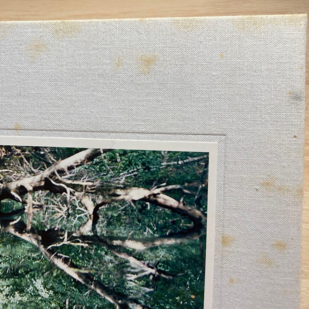 鈴木理策写真展　意識の流れ　図録