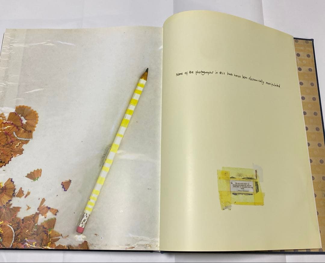 TIM WALKER PICTURES teNeues ティム・ウォーカー