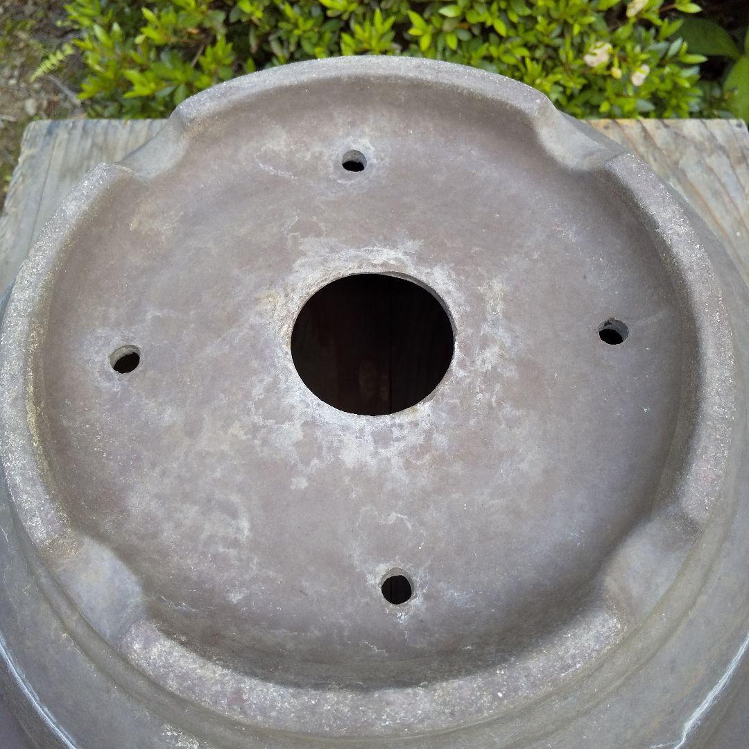 盆栽鉢 大品 12号 松柏類 無釉 泥鉢 泥物 外縁 丸 陣笠 彫入 雲龍文