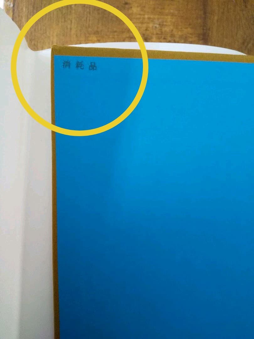 中世ヨーロッパの歌 ／ ピーター・ドロンケ 著