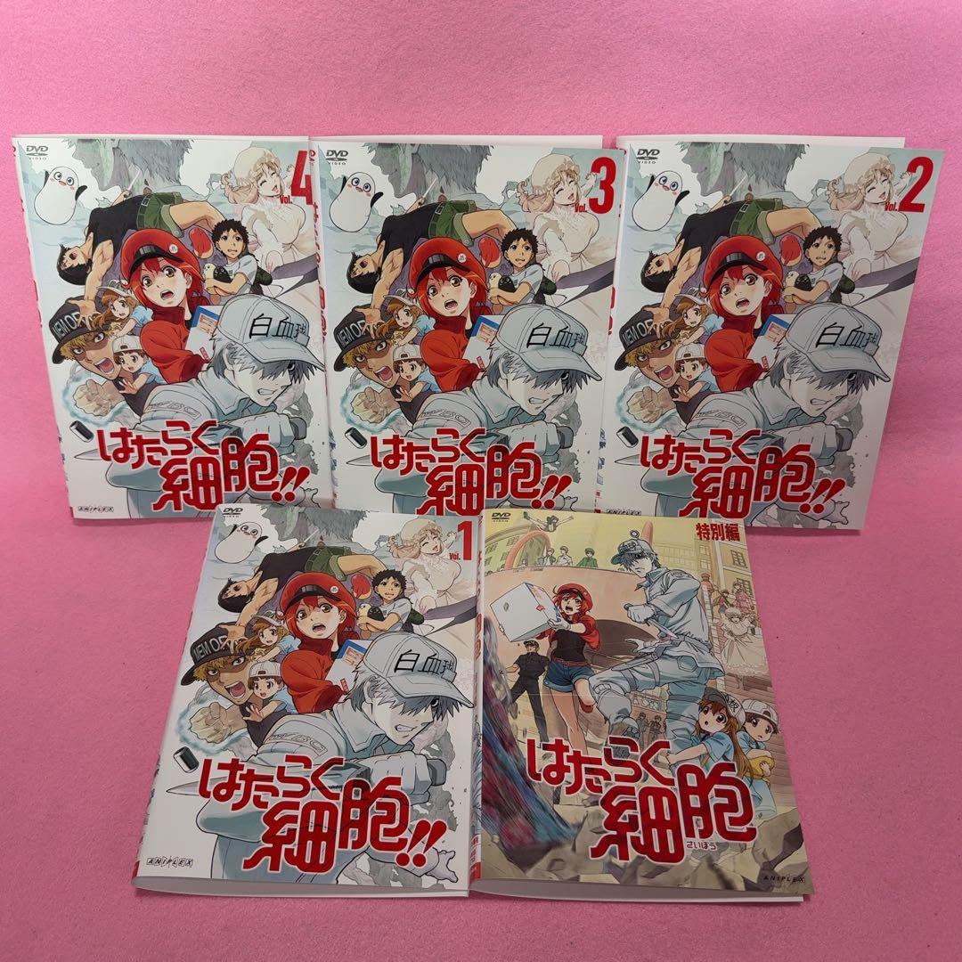 新品ケース有 はたらく細胞!! 2期 特別編 計5巻セット