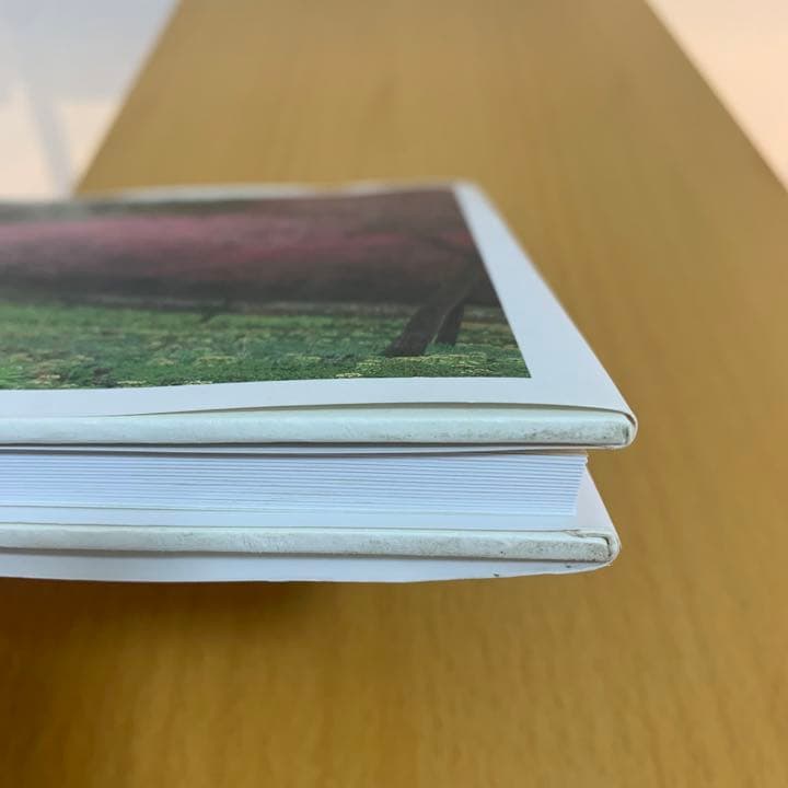 【希少！】四季模様 花咲くやまと／抓揉 貢(著)