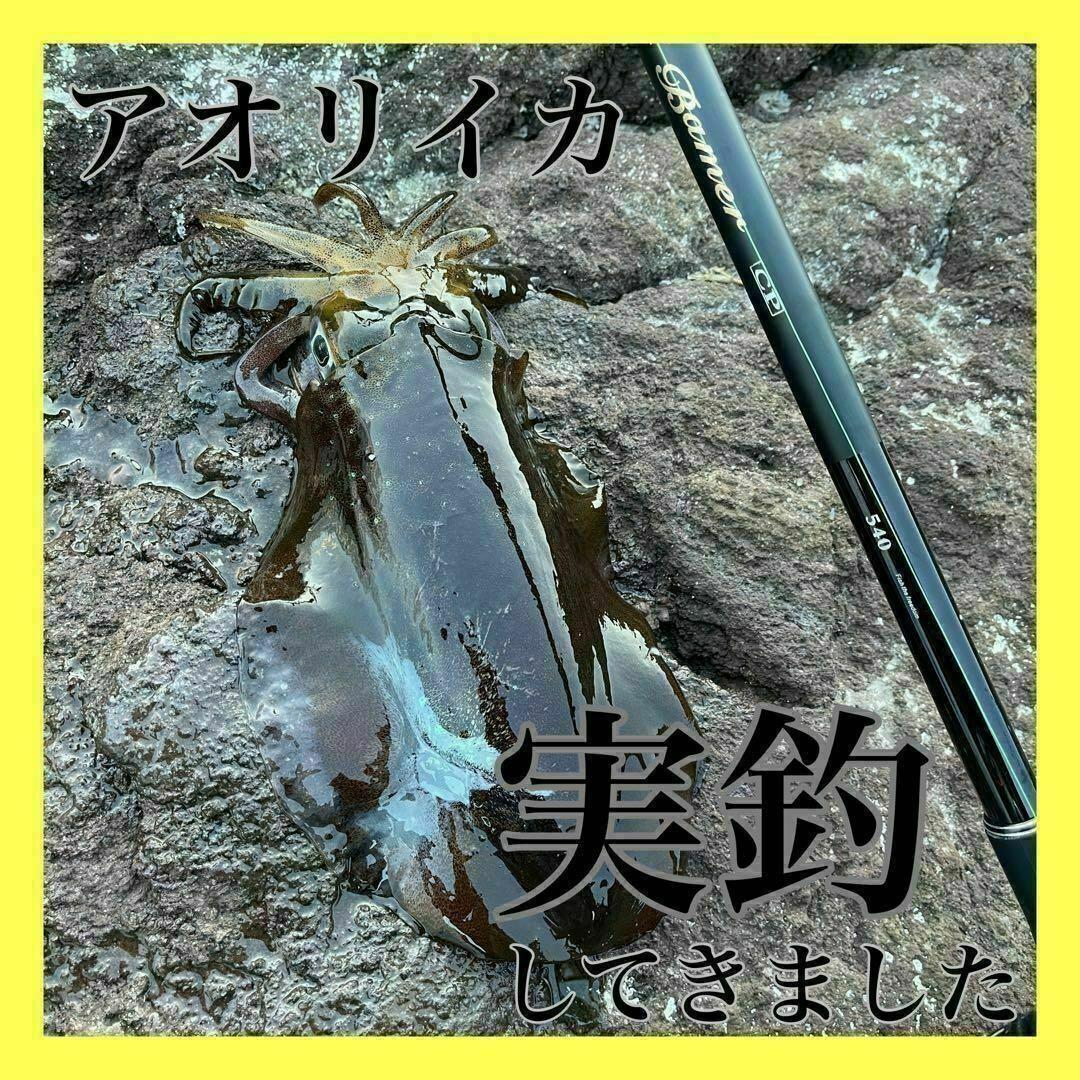 磯竿2号 4.5m 新品未使用　2-450 磯釣り　アオリイカ　チヌ　ブラック
