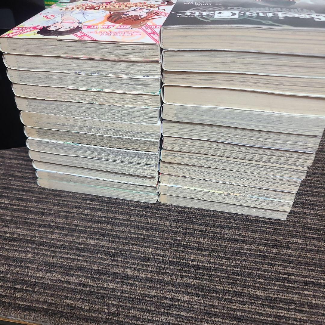 シュタインズ・ゲート　まとめ売り　25冊セット　むぎむぎ0430