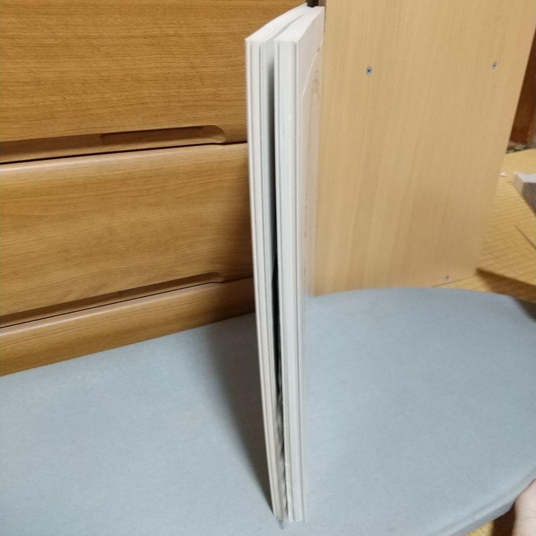 完品　江口寿史 イラストレーション NO MATTER 立花ハジメ　jc1