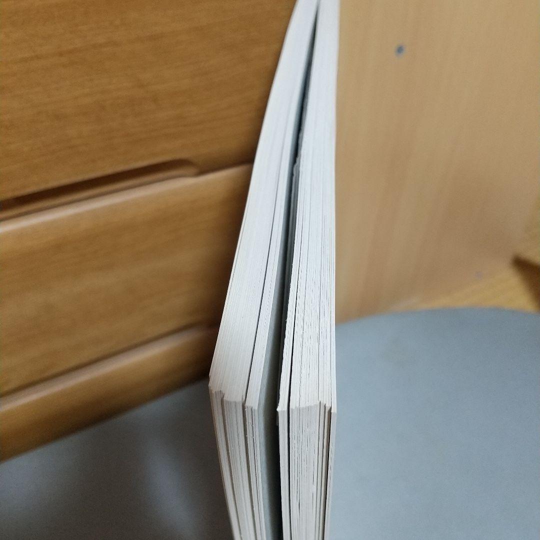 完品　江口寿史 イラストレーション NO MATTER 立花ハジメ　jc1