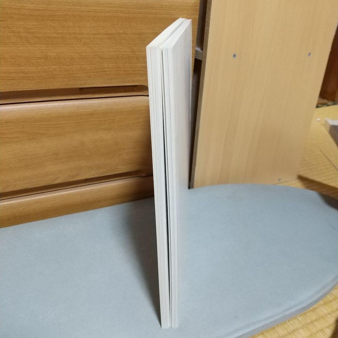 完品　江口寿史 イラストレーション NO MATTER 立花ハジメ　jc1