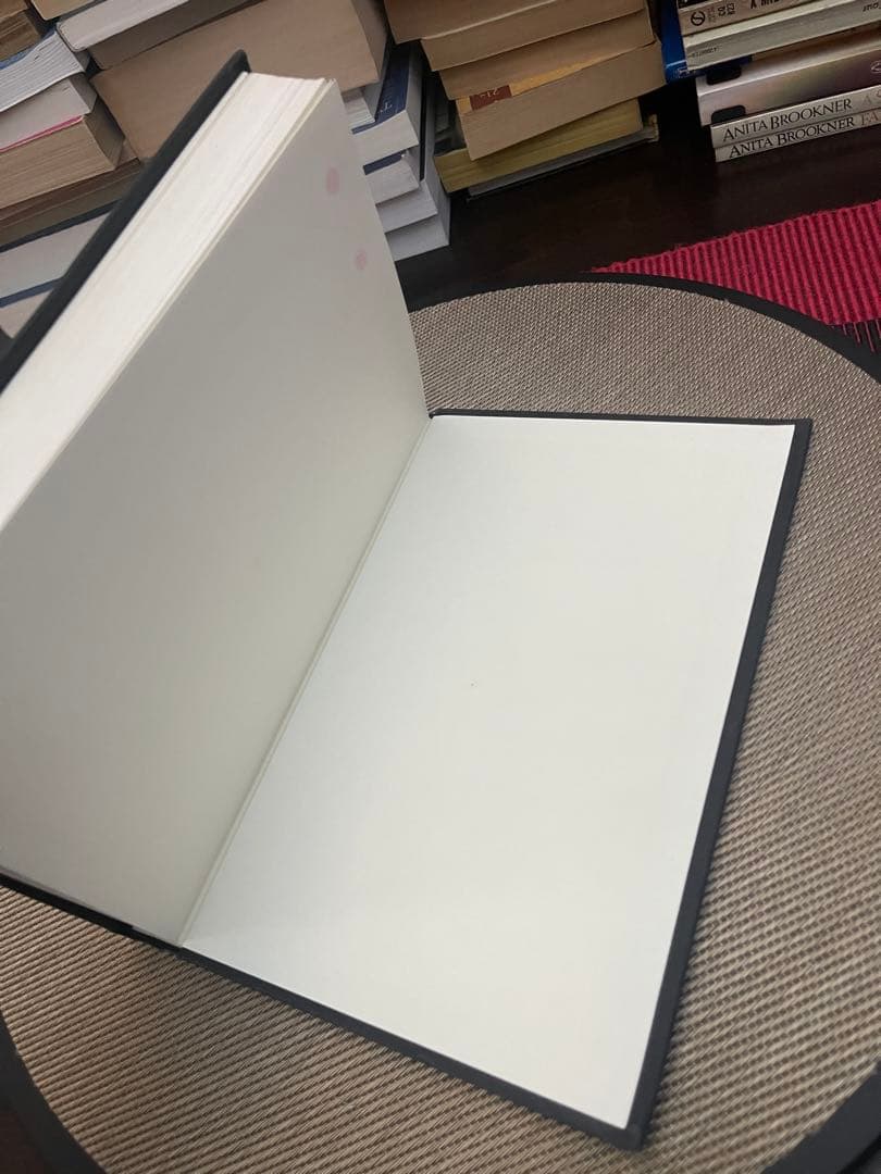 洋書 THE FRENCH NEW AUTOBIOGRAPHIES