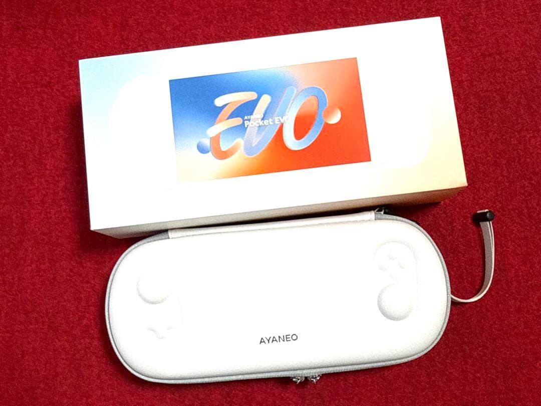 L*k様 AYANEO Pocket EVO 24GB/1TB 中古美品 ケース