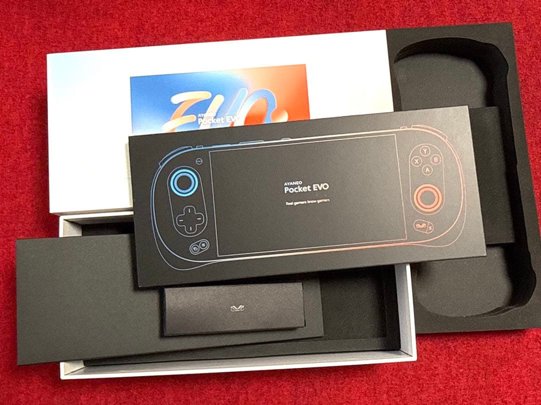 L*k様 AYANEO Pocket EVO 24GB/1TB 中古美品 ケース