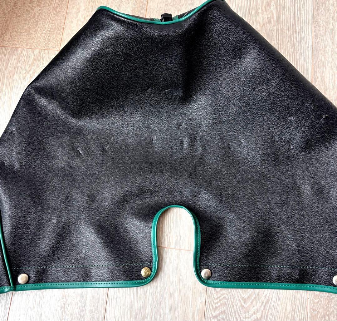 トラサルディゴルフバッグとシューズケース　 ヴィンテージ