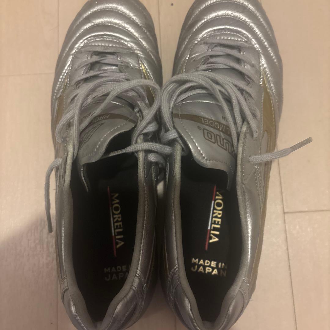 27.0 モレリアDNA