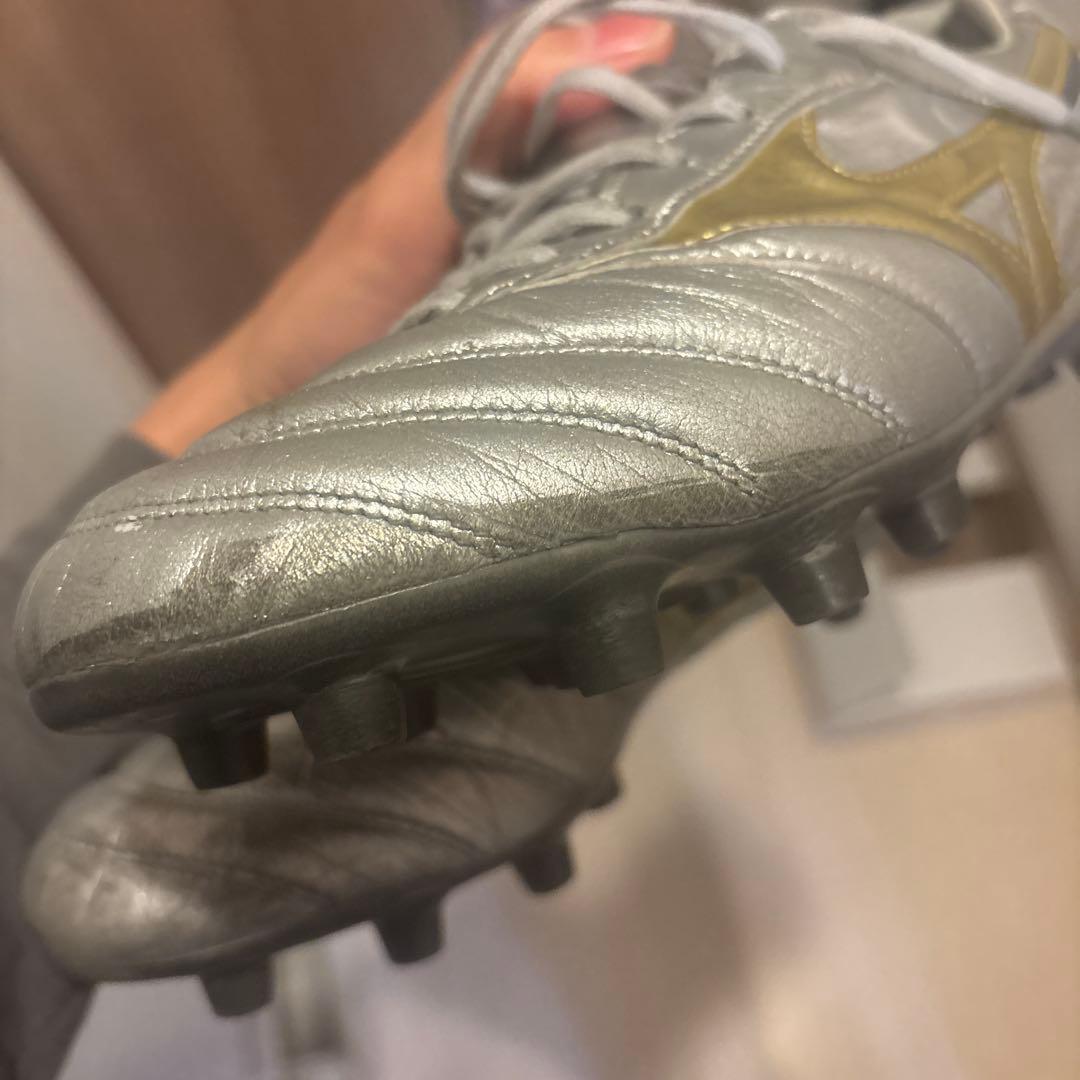 27.0 モレリアDNA