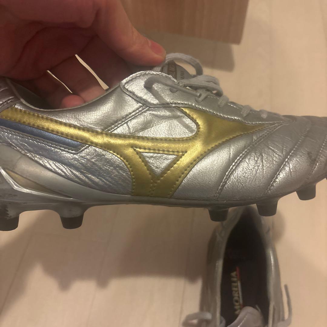 27.0 モレリアDNA