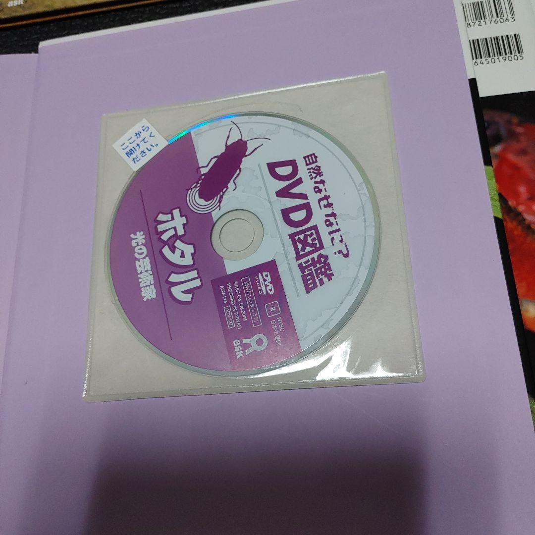 自然なぜなに DVD図鑑 ほば未使用 6冊セット 栗林 慧