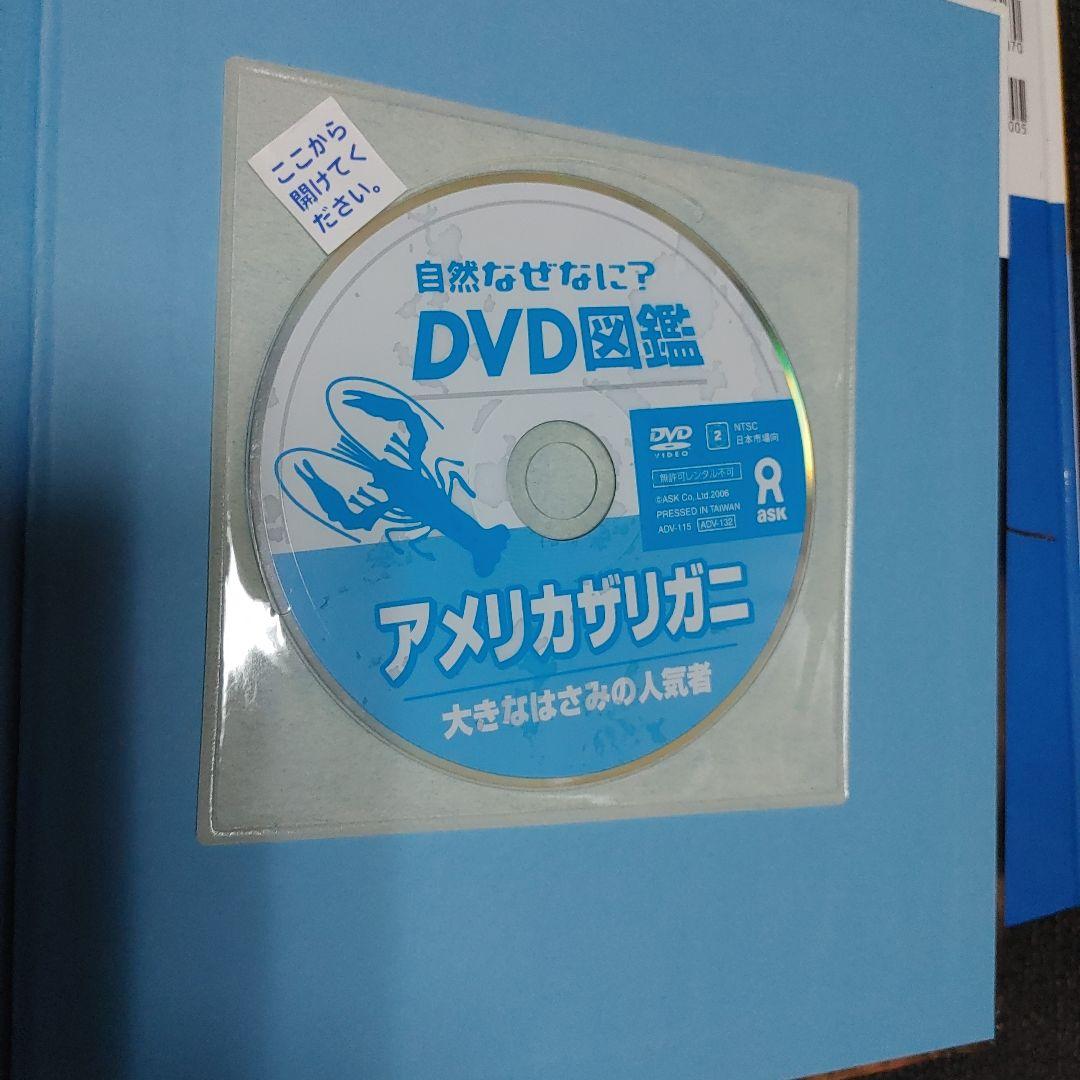 自然なぜなに DVD図鑑 ほば未使用 6冊セット 栗林 慧