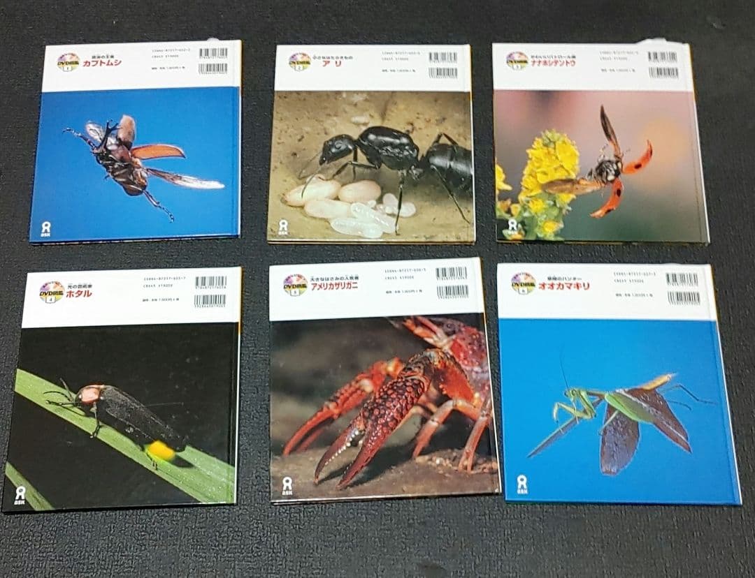 自然なぜなに DVD図鑑 ほば未使用 6冊セット 栗林 慧