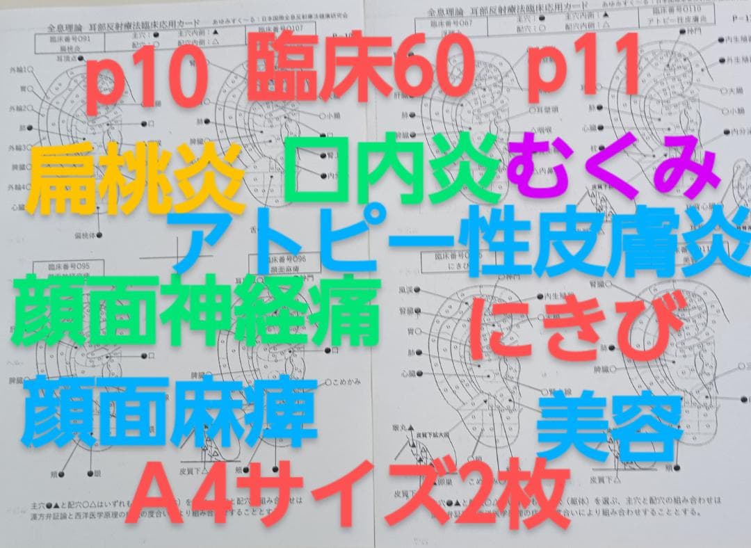 BP32:耳つぼ：臨床例60例集+チャート2+解説プリント（ジュエリー必須）プロ