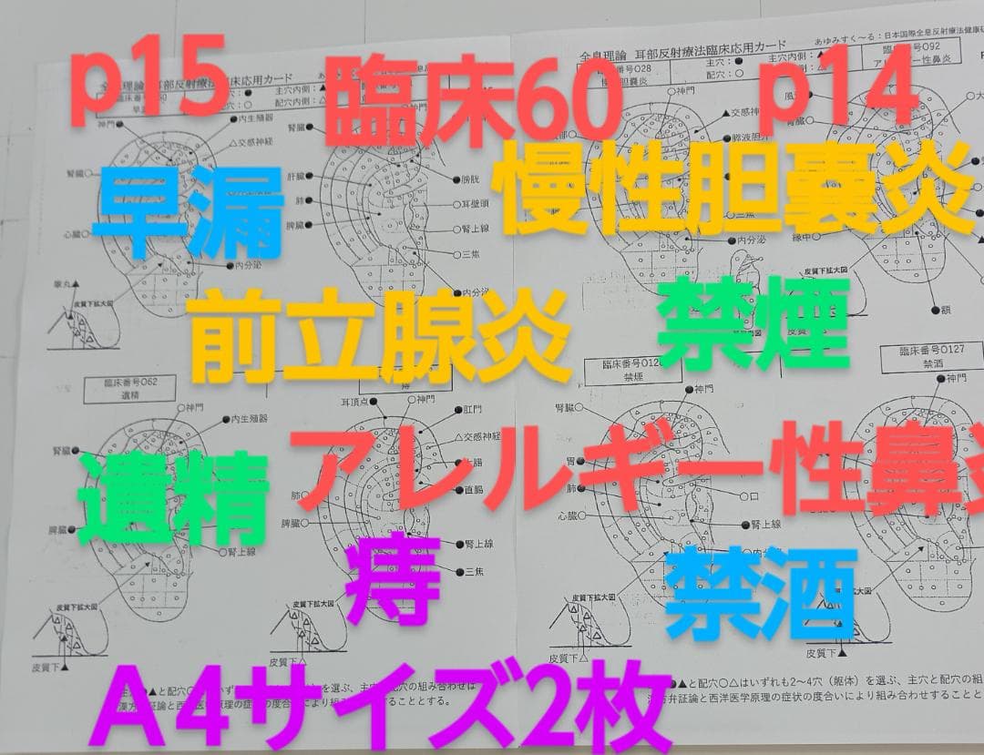 BP32:耳つぼ：臨床例60例集+チャート2+解説プリント（ジュエリー必須）プロ