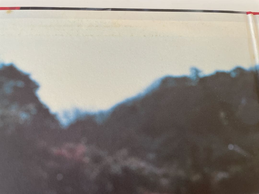 スピッツ 花鳥風月 アナログ盤 10インチ レコード