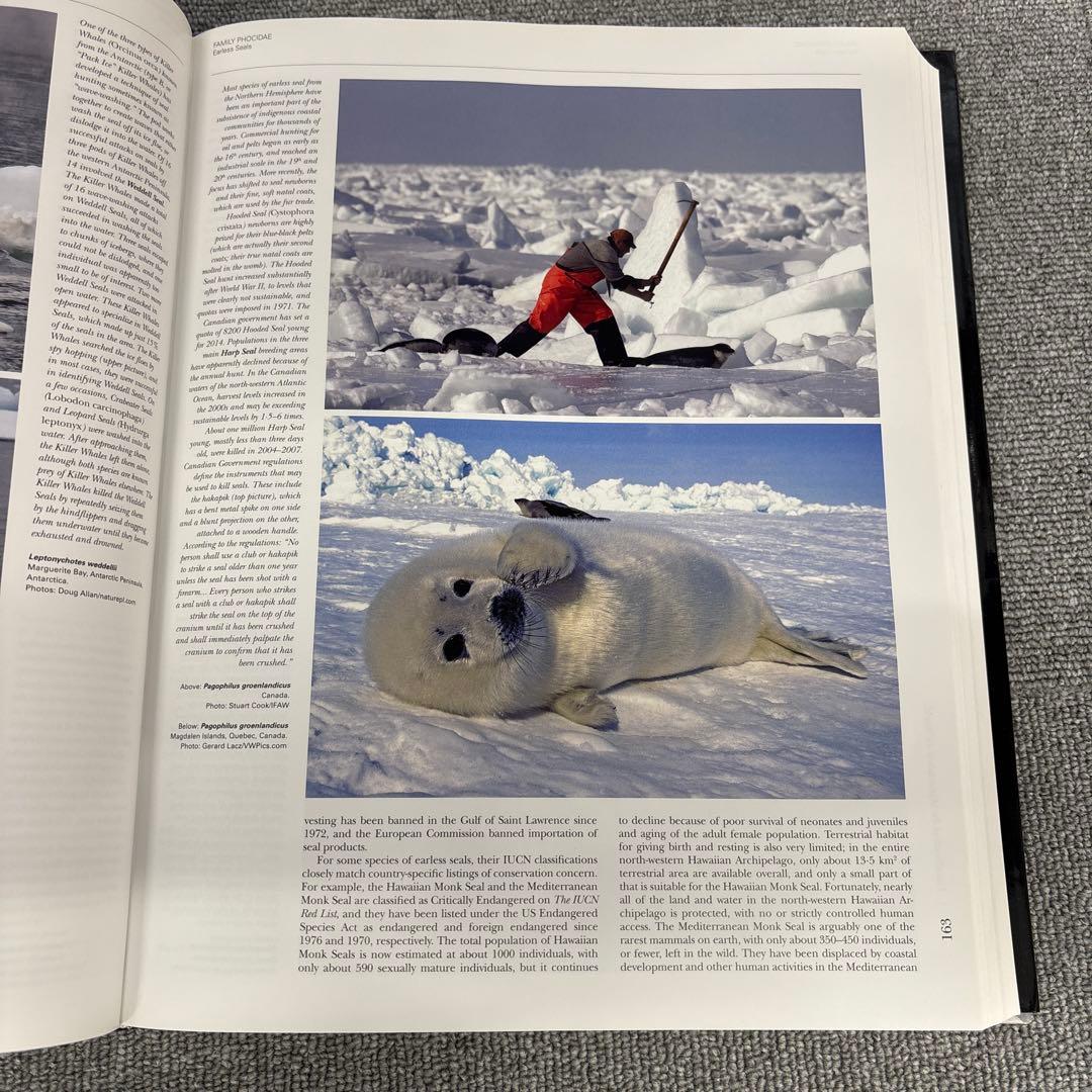 洋書 Handbook of the mammals of the world