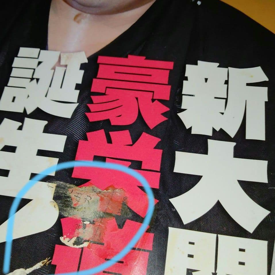 相撲　雑誌　57冊まとめ売り　平成