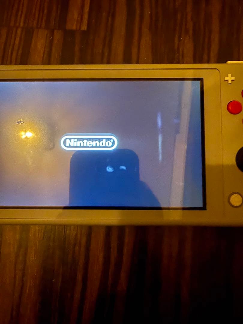 Nintendo Switch Lite ザシアン　ザマゼンタ