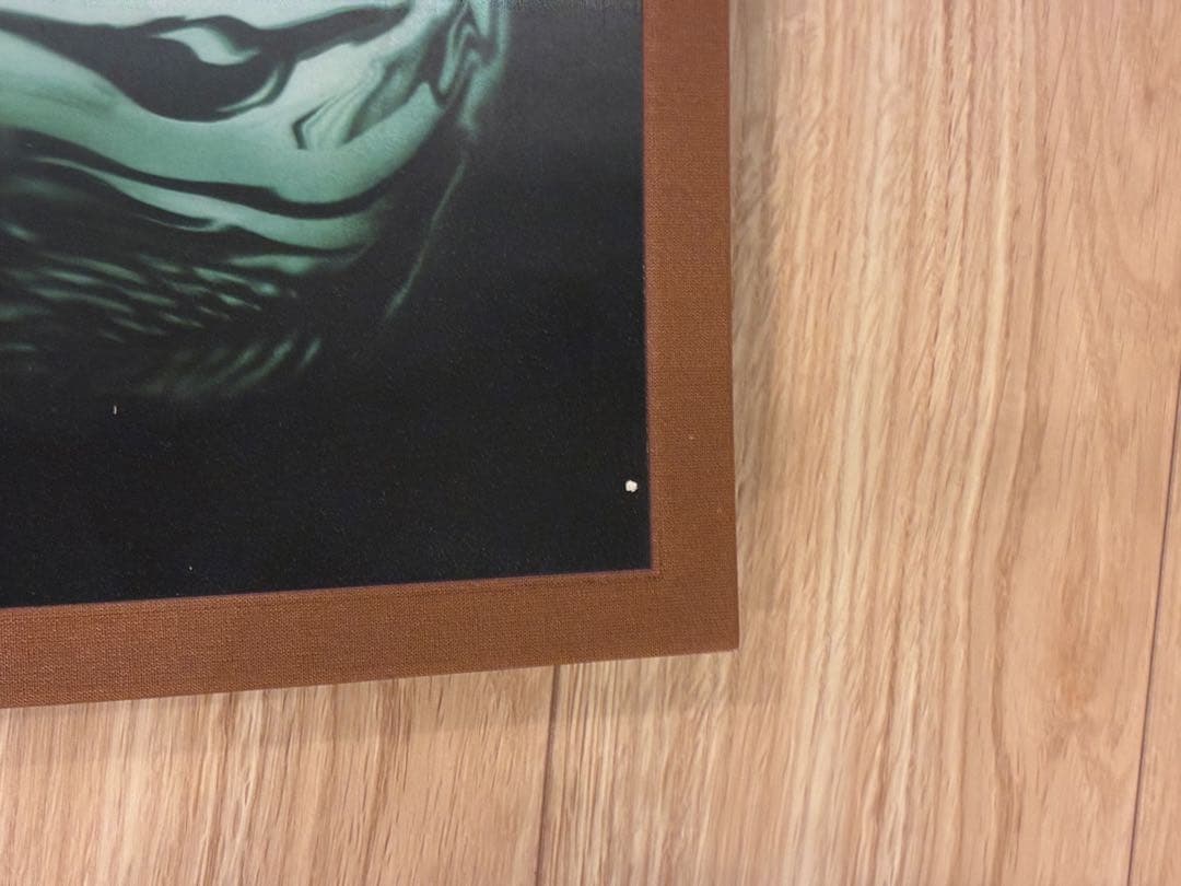 ALEXANDER McQUEEN SAVAGE BEAUTY 洋書