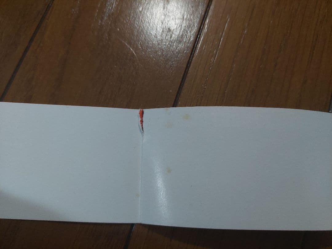 BLEACH　ブリーチ　1巻　初版　帯、集英社のコミックス・ニュース付き