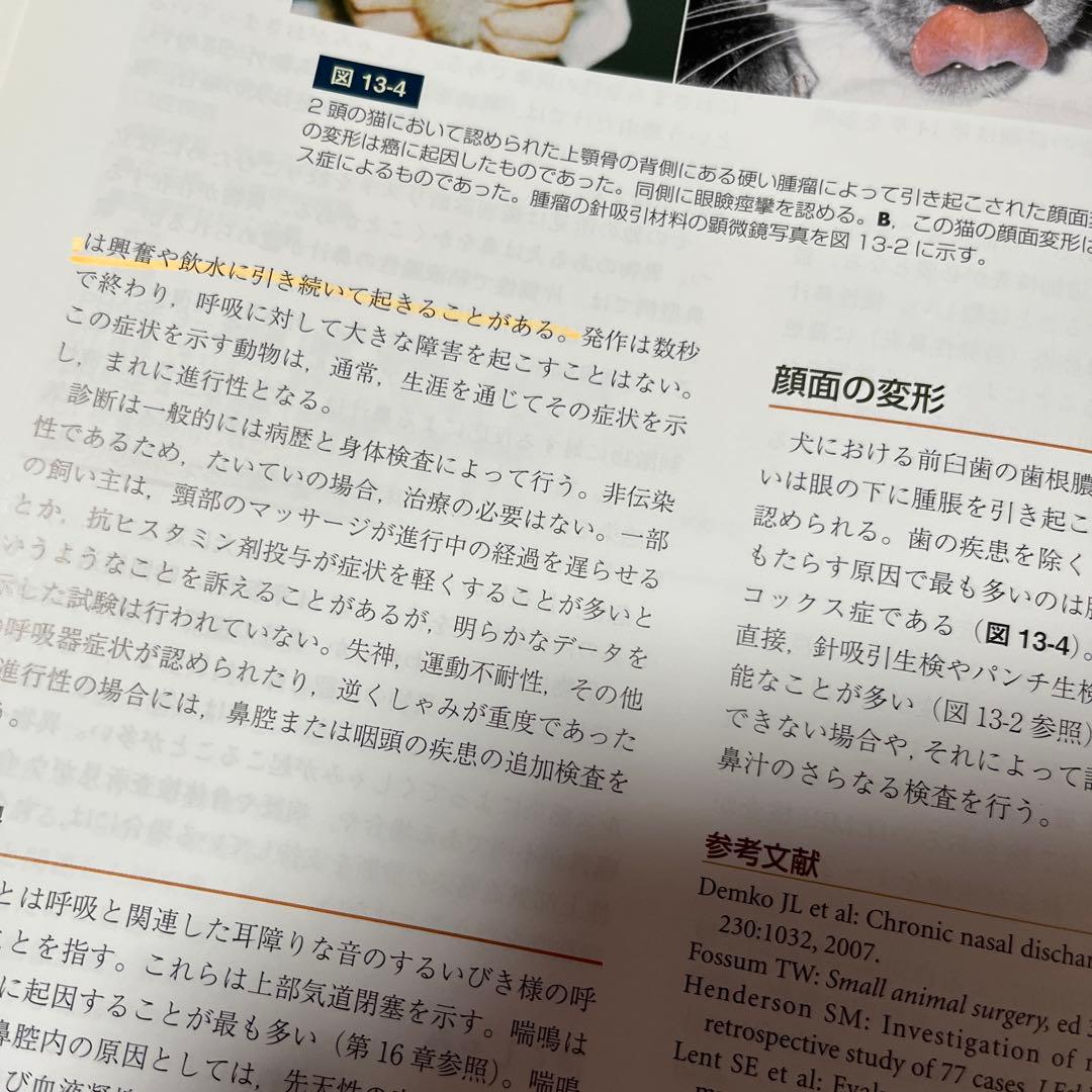 スモールアニマルインターナルメディスン　第4版　上下