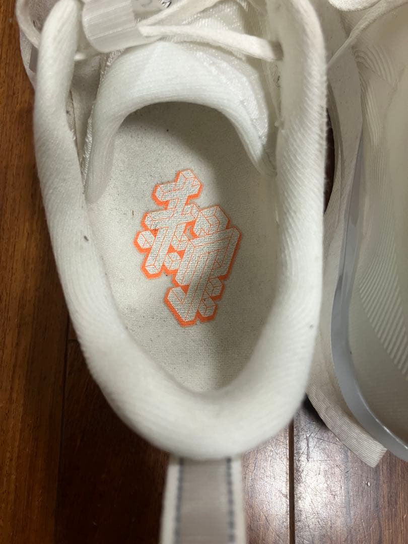 リーニン　RED HARE 8 PRO（赤兎8 PRO）　28.0cm 中古品