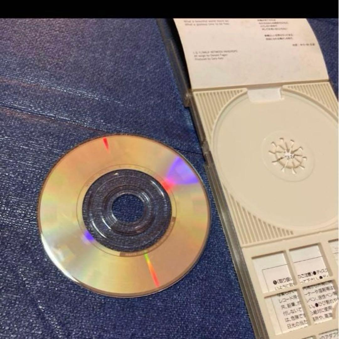 ドナルドフェイゲン　DONALD FAGEN スティーリー・ダン　8cmシングル