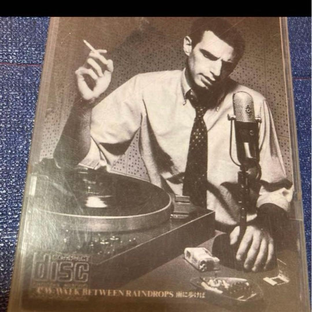 ドナルドフェイゲン　DONALD FAGEN スティーリー・ダン　8cmシングル