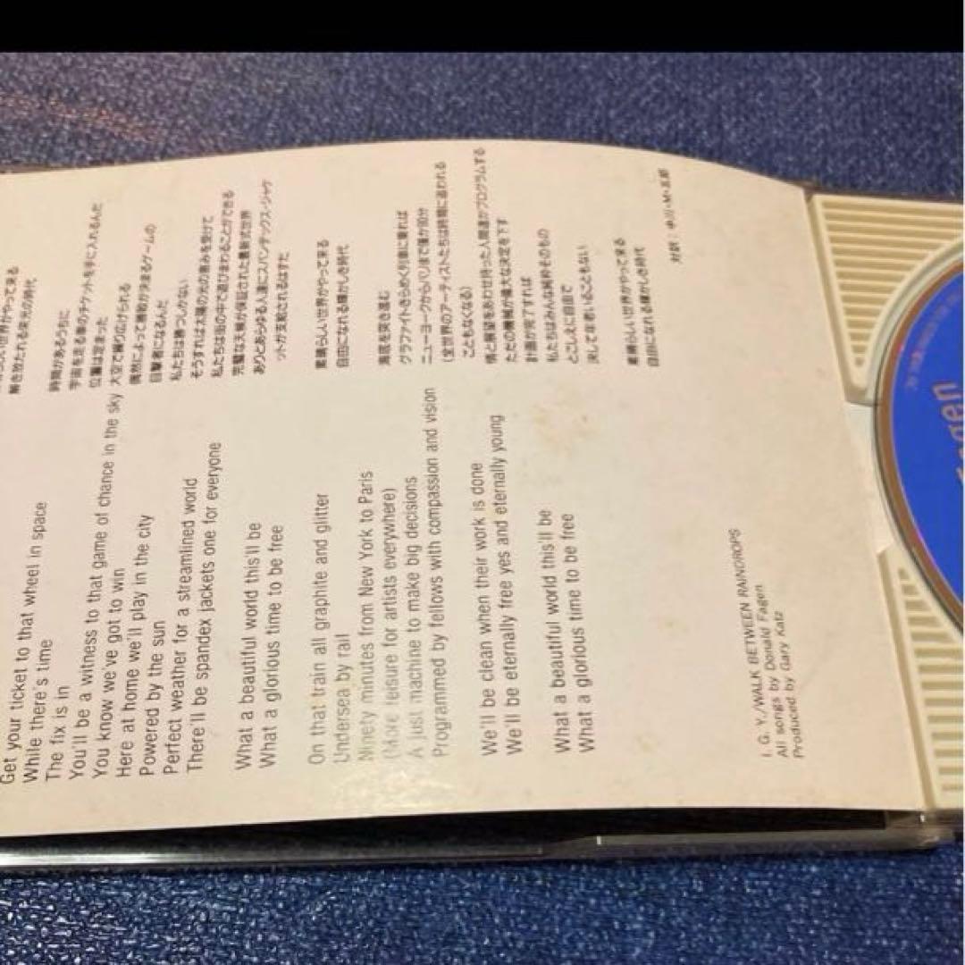 ドナルドフェイゲン　DONALD FAGEN スティーリー・ダン　8cmシングル