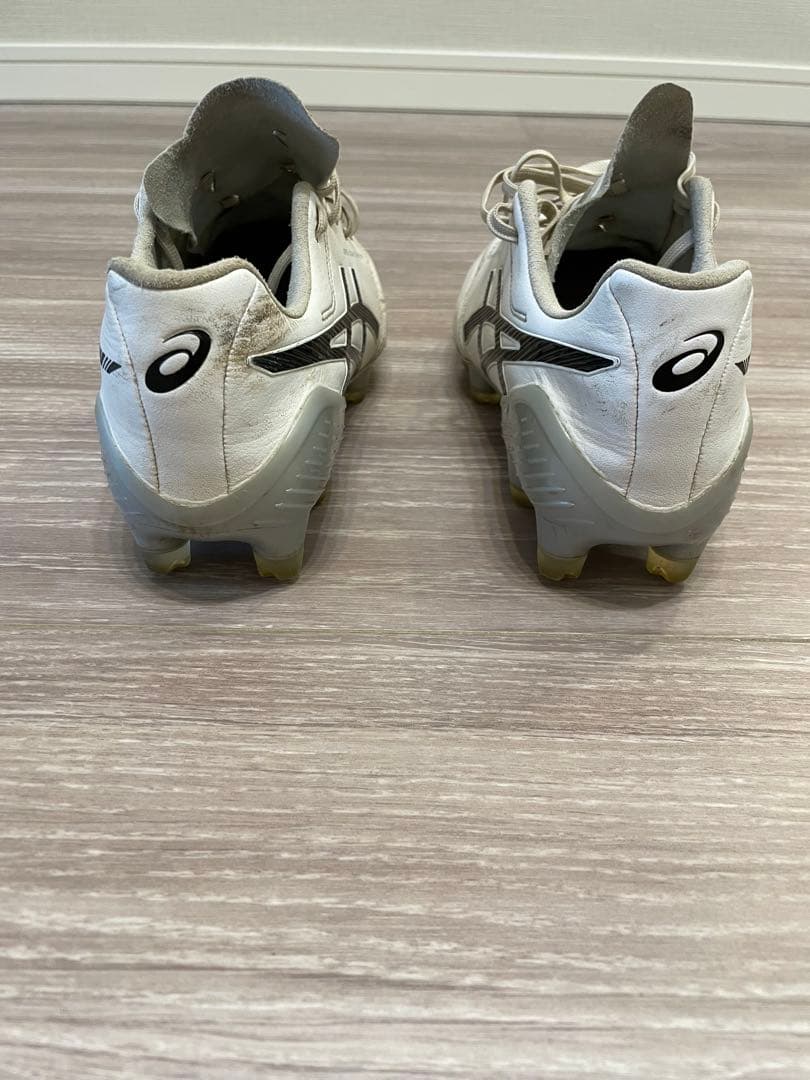 シューズ DS LIGHT X-FLY5