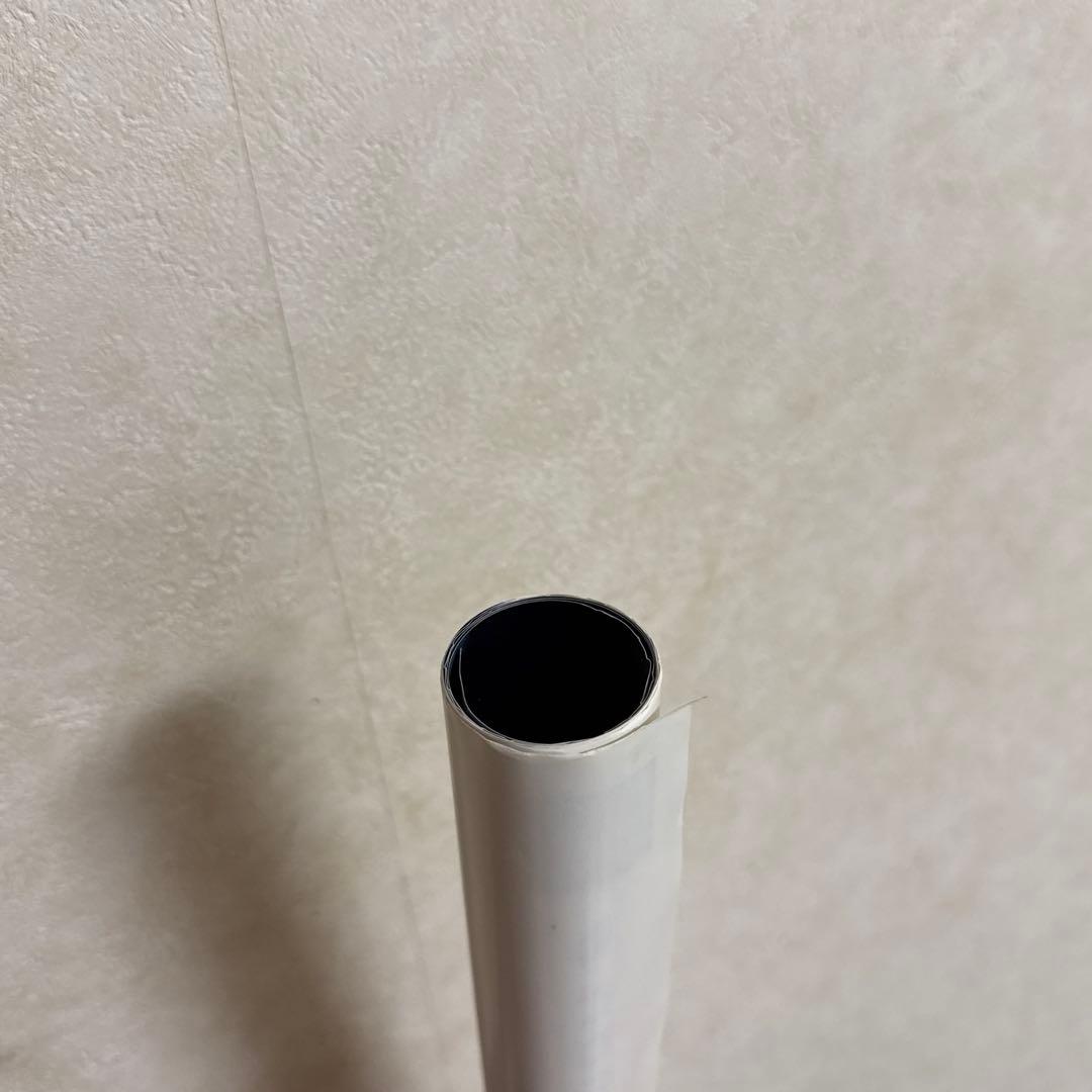 レア！非売品 アルタードスピーシーズ ヴァンパイアレイン PS3 ポスター