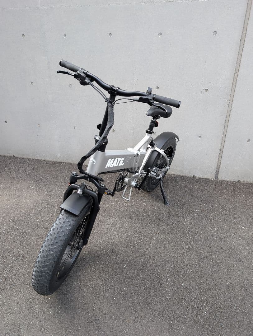 MATE X EVO 250W-JP【国内正規品】美品（シルバー）