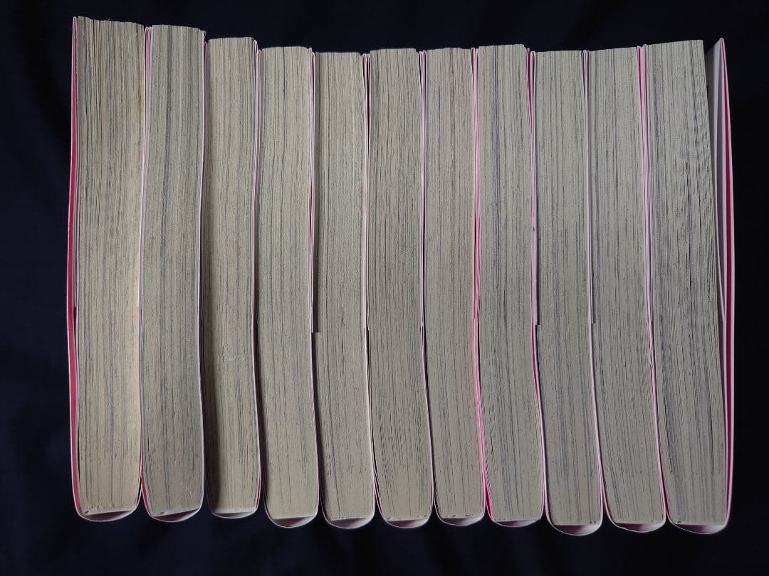 思春期ちゃんのしつけかた 特装版