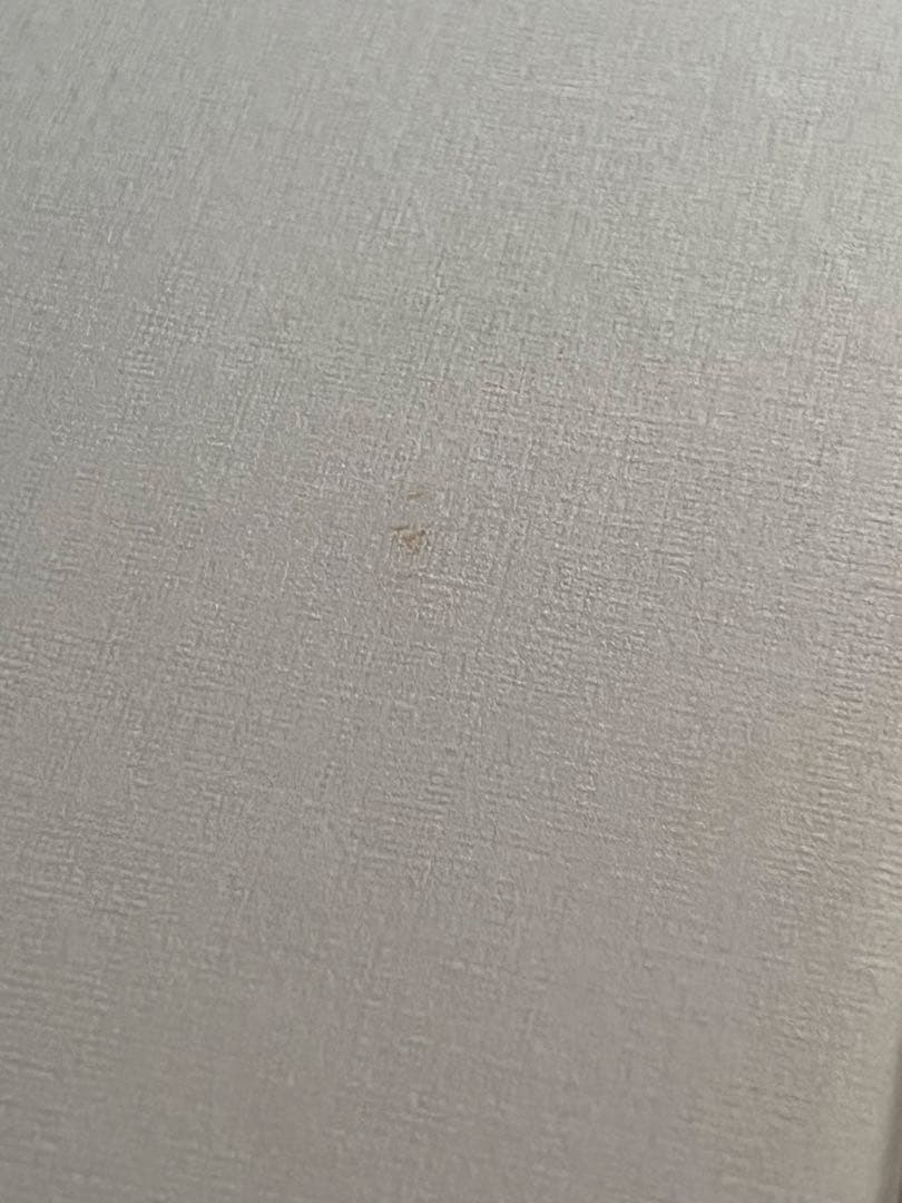 藤村庸軒をめぐる人々