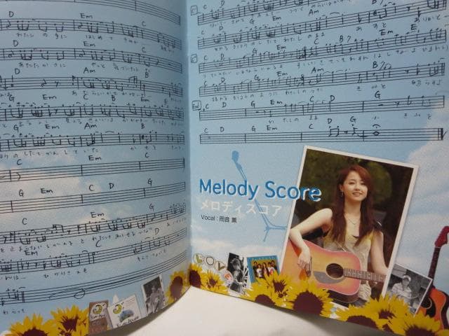 【セル版/美品】タイヨウのうた A Song to the Sun DVD