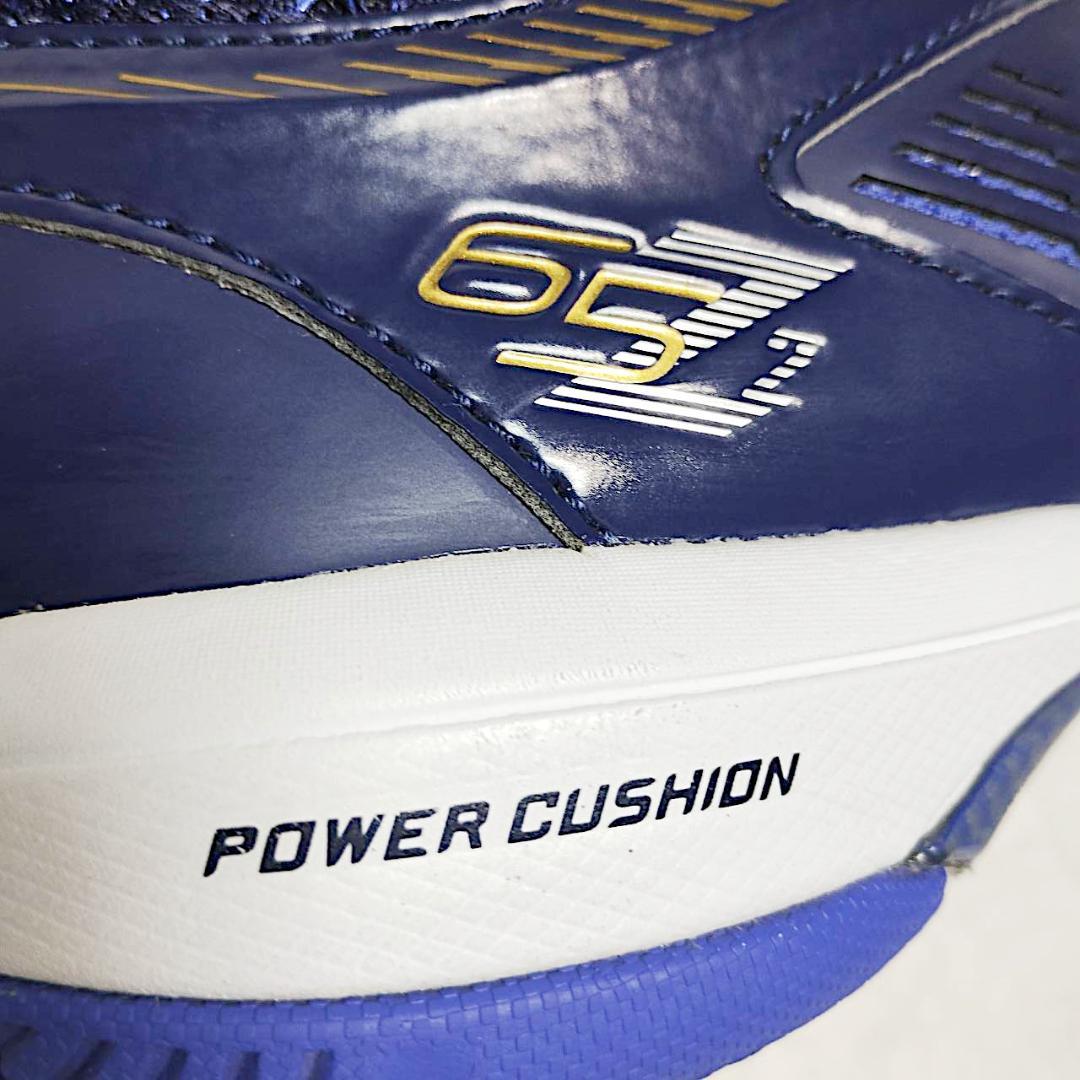 【希少】YONEX ヨネックス 桃田モデル バドミントン シューズ 25cm