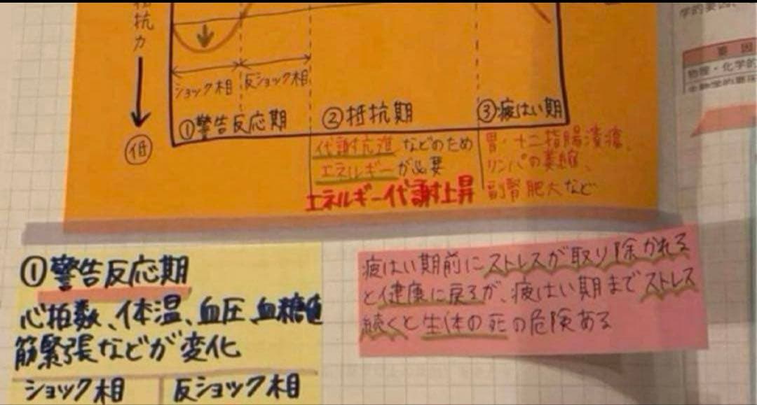 管理栄養士国家試験　まとめノート　9科目すべて