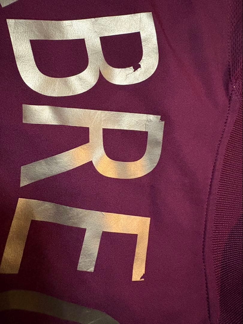 アーセナル ファブレガス 15