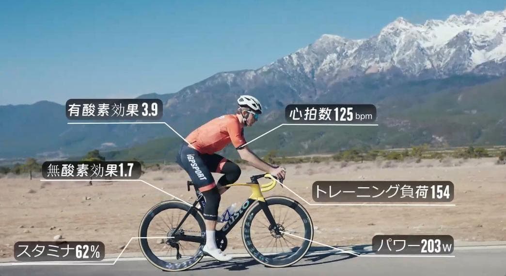 iGPSPORT　iGS800 サイクルコンピューター サイコン【新品・未開封】