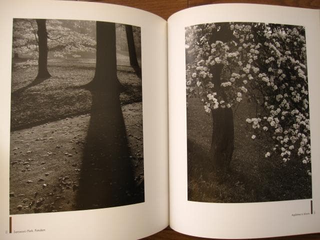 アート・デザイン・音楽 In the Bauhaus Spirit: Photographs 1925