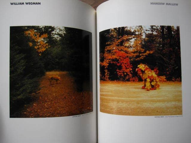 アメリカンポップカルチャーTODAY〈3〉アイデア編集部