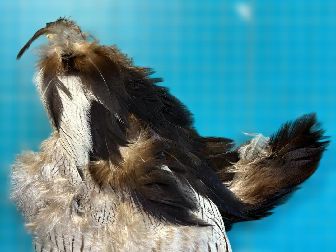 フライマテリアル シルバーフェザント コンプリート スキン