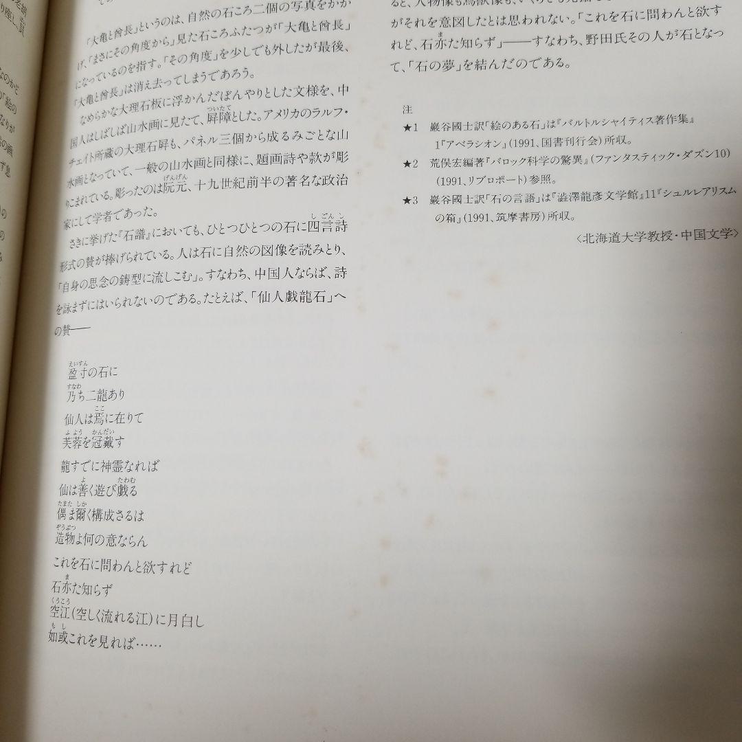 野田弘志　写実照応